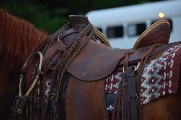 Gavin Ozment Horsemanship