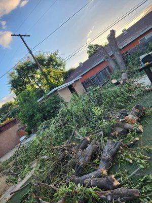 Daniel's Garden Service