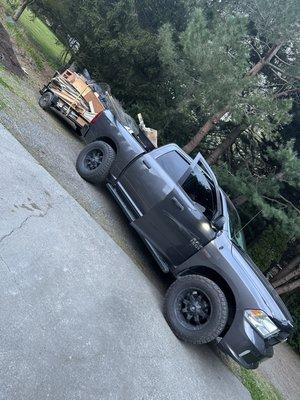 Forest Green Landscape