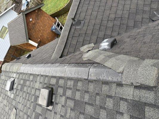 Acme Roofing