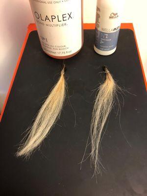 Roebi's Hair Design & Color Studio