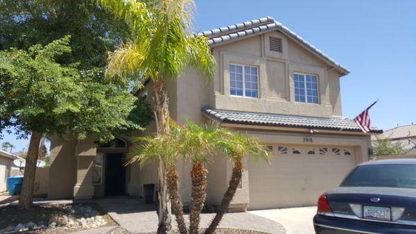 Life in Color Painting