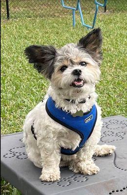 Sunrise Detox Ft Lauderdale