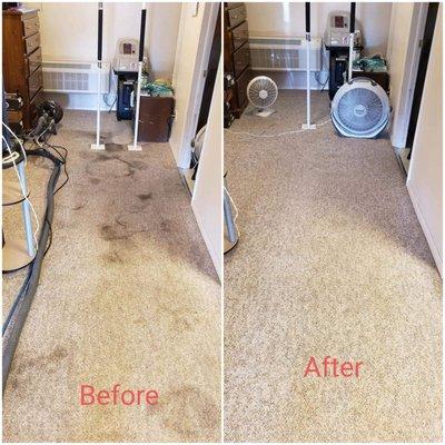 Colorado Floor Care & Services