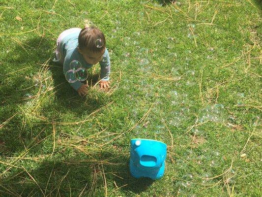 Tamalpais Tots Daycare