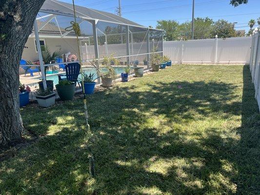 Chompin’ Goat Lawn Care And Landscaping