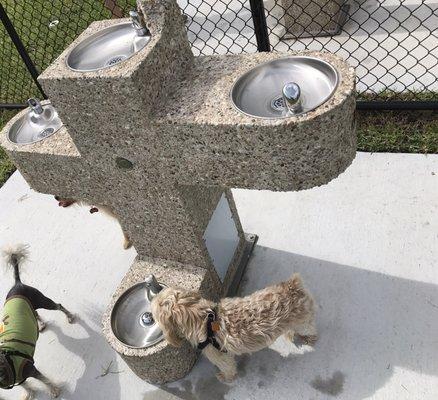 Boynton Village Park And Dog Park