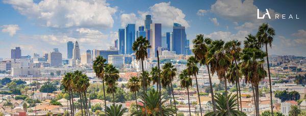 James Maxwell - LA Real