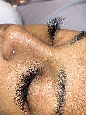 Hollywoods Beauty Bar