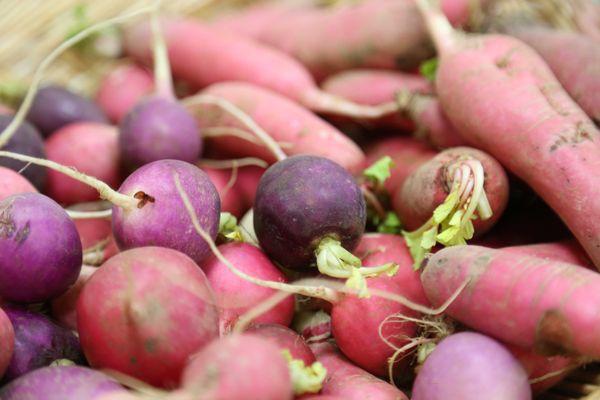 Northside Farmers Market