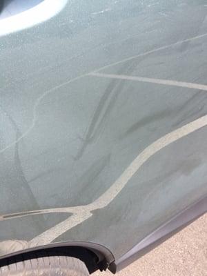 I thought those dirt streaks would be done after a wash...