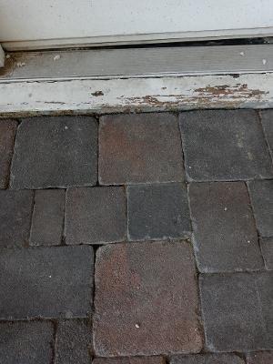 Latino Painting Solutions