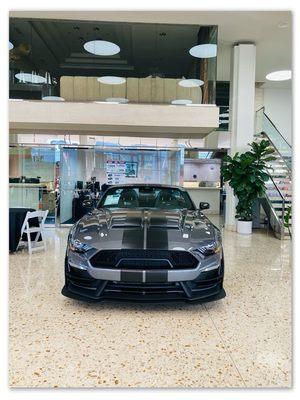 Ford 2025 GT model. Ready to use that hard earn IRS tax rebate.