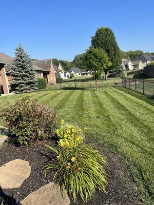 Elevated Home and Lawn Services