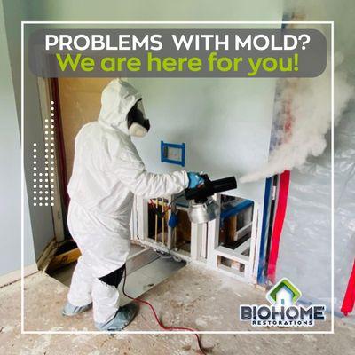 Biohome Restorations