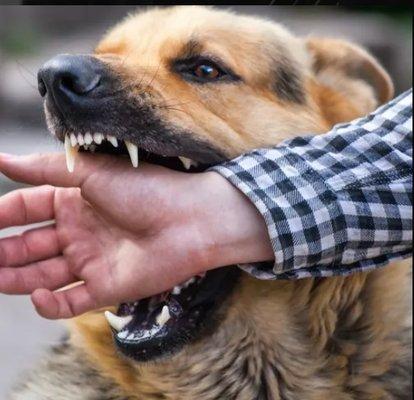Avery Injury Law