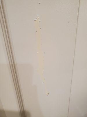 Jose Rios Services and More