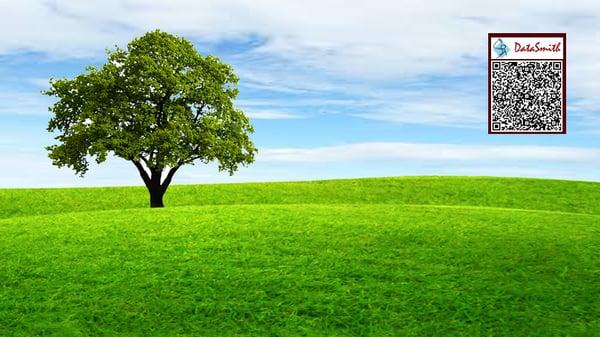 DataSmith Consulting