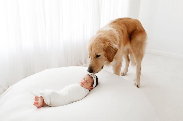 in studio newborn session