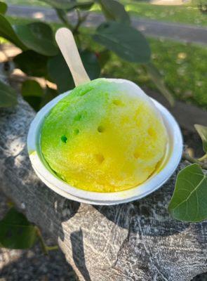 Shave Ice on the iconic Banyan Tree. Arborists are currently working to save the tree