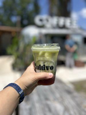 Cultivo Coffee