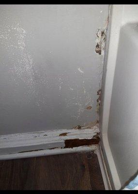 Westdale Asset Management