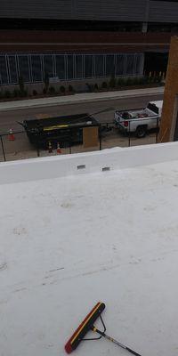 Cleaning Services and More