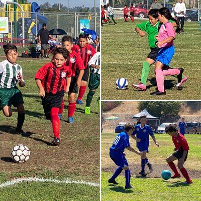 AYSO La Mesa Region 89