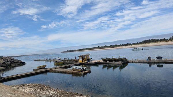 Jetty Fishery Marina & RV Park
