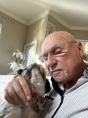 Animal Hospital of Treasure Island