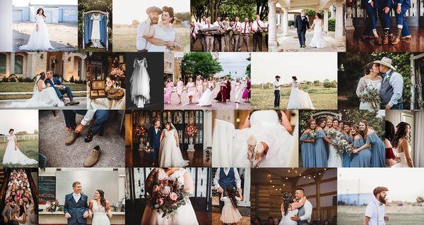 Alyssa Martin Photography