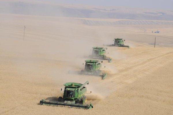 Harvest Ridge Organics