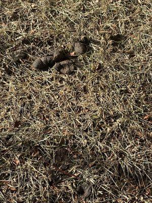 The Preserve at Osprey Lake Apartments