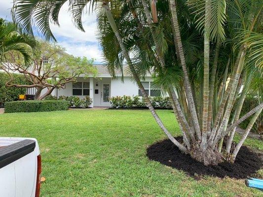 K & D Lawn Maintenance