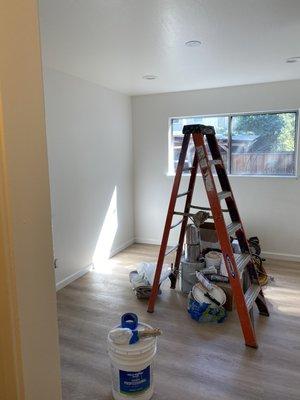 Drywall And Plaster & Painting