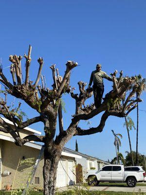 Fernando’s Outdoor Creations