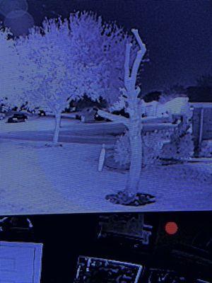 Arbor Masters Tree Service