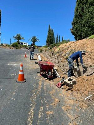 Matias Gonzalez Landscape