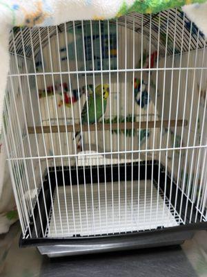 Restani-Fatima Veterinary