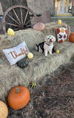 St Peter's United Methodist Church