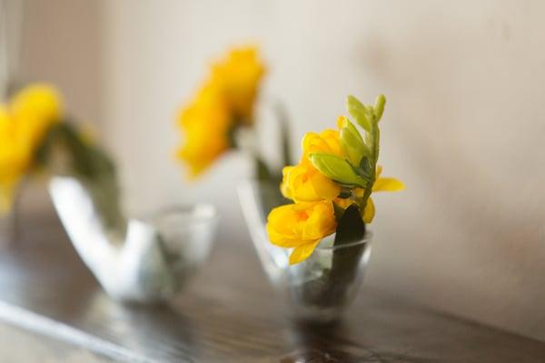 Epic Photojournalism