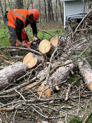 Timber Takedown Tree Services