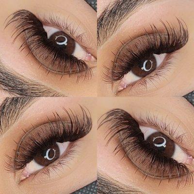 The Lash Beautique