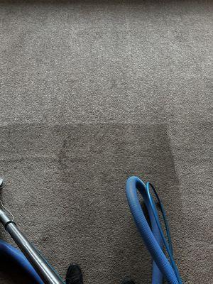 Brothers Carpet Cleaning