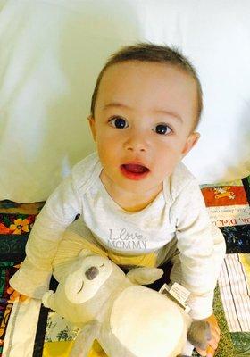 Collision Therapy Chiropractic