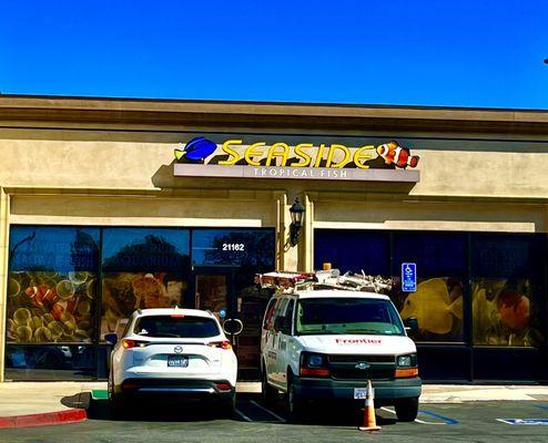 Seaside Tropical Fish