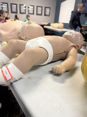 Cascade Training Center - Roseville