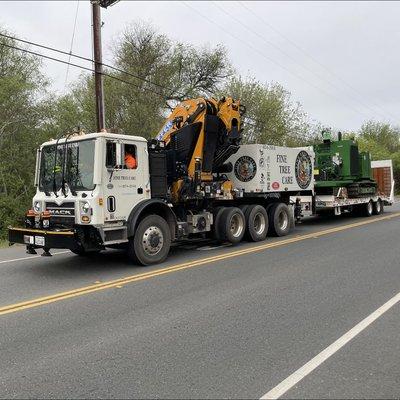 Fine Tree Care