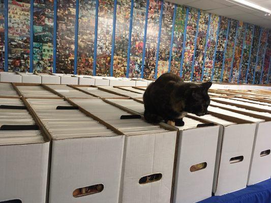 Book and Game Emporium