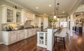 Blayssa Nadir Realtor